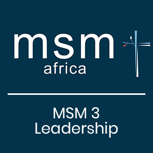 MSM 3 - Leadership